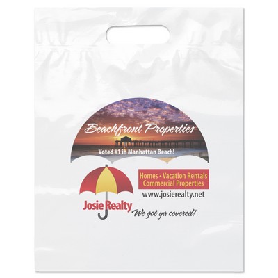 12W x 15H x 3 Die Cut Handle Bag - Dynamic Color