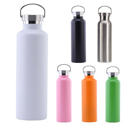 Stainless Steel Metal 20 oz. Water Bottles w/Handle Lid