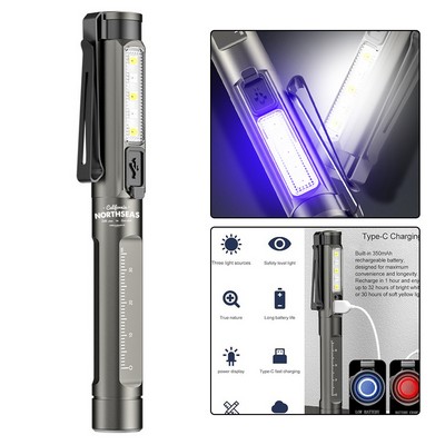 Led Rechargable Pen w/ Pupil Gauge