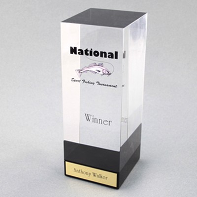 Acrylic Cube 3 Award (3-1/2"x 8"x 3-1/2")