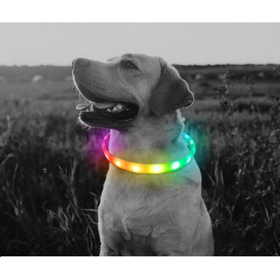 LED Dog Collar, USB Rechargeable, Glowing Pet Dog Collar for Night Safety